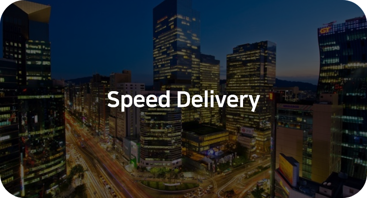 speed delivery